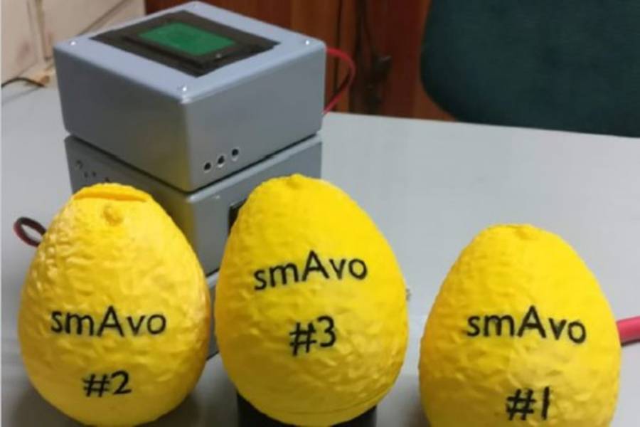 Умный авокадо собирает информацию для производителей