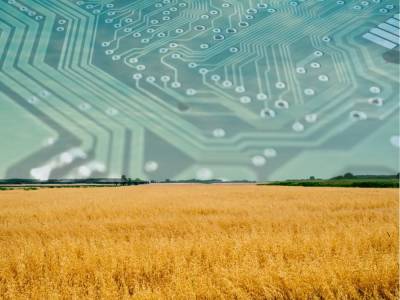 Что даёт сельскому хозяйству использование Big Data?