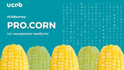 Нове дослідження від УКАБ “PRO.CORN” – невід’ємна складова при побудові стратегії кожного виробника кукурудзи 