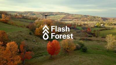 Дроны стартапа Flash Forest высадят миллиард деревьев к 2028 году