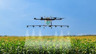 В Индии создают условия для более широкого применения дронов в сельском хозяйстве