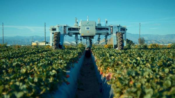 9 перспективних роботів для агросектора