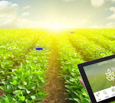 Преимущества применения IoT-решений в растениеводстве