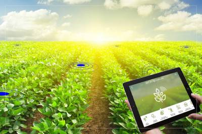 IoT в сельском хозяйстве: 5 вариантов использования технологии