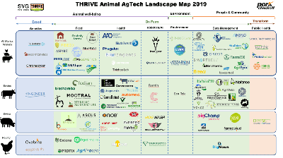 Animal Agtech MarketMap: актуальные направления инноваций в животноводческой отрасли