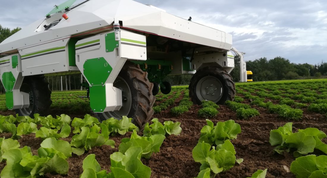 Роботы в сельском хозяйстве: тенденции и развитие