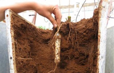Нова технологія вимірювання нітратів у ґрунті