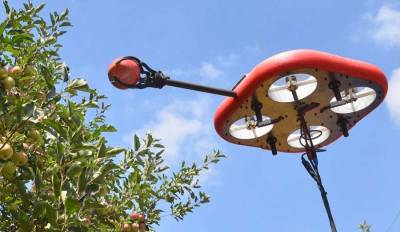 Літаючі збирачі фруктів  — смілива інновація для сільського господарства