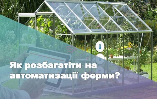 Як розбагатіти на автоматизації ферми?