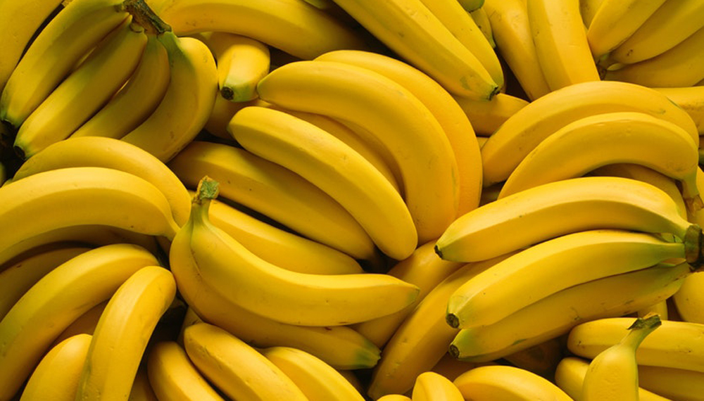 Нідерланди почали вирощувати банани в теплицях
