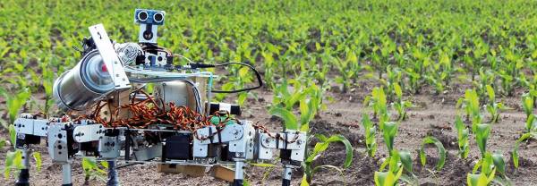 Эффективное сельское хозяйство станет невозможным без внедрения робототехники?