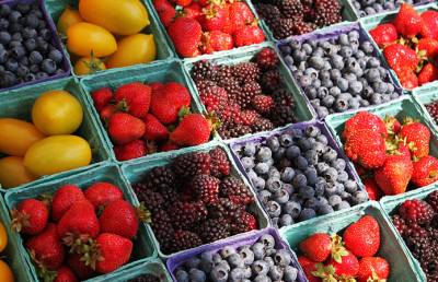 Перспективи вирощування фруктів та ягід: перспективні культури, способи переробки, експорт