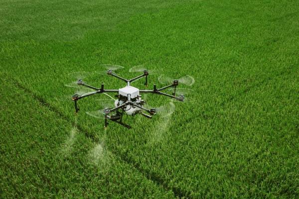 Внесення ЗЗР та добрив дронами — гід аграрія по можливостям, проблемам та постачальникам послуг