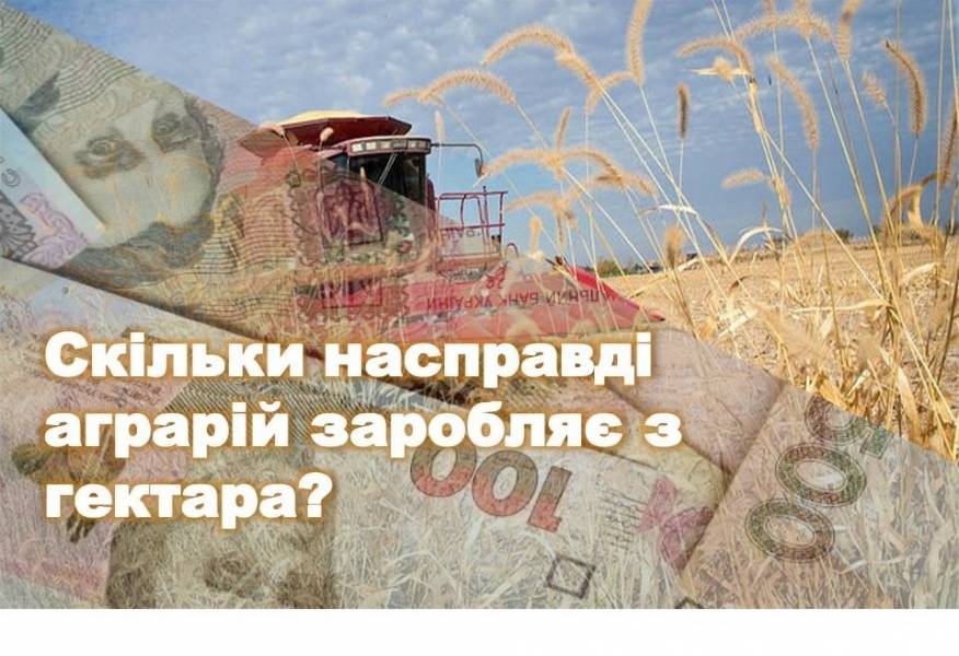 Час рахувати фінанси — скільки насправді аграрій заробляє з гектара?