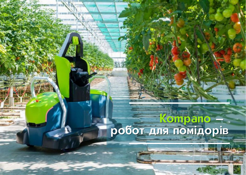 Kompano — робот для помідорів, що працює 24/7