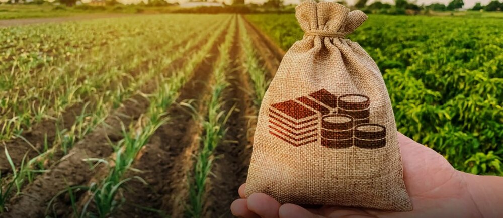 Платформа AgriAnalytica спрощує доступ фермерів до фінансування