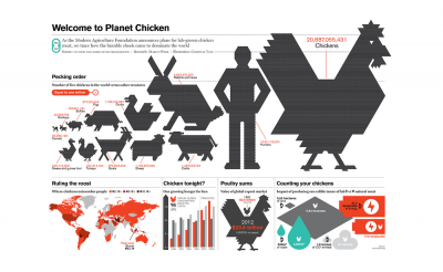 Планета кур: 5 неожиданных фактов об этих домашних птицах
