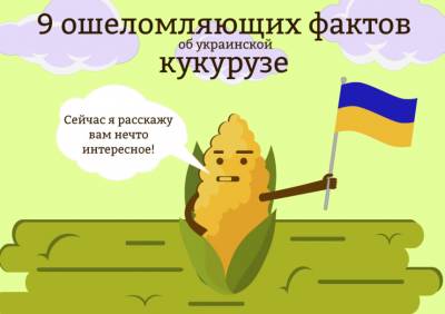 9 ошеломляющих фактов об украинской кукурузе