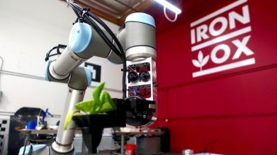 Американский стартап получил $1,5 млн на разработку роботизированной гидропонной фермы