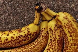 Бананы исчезают из-за коммерческой селекции