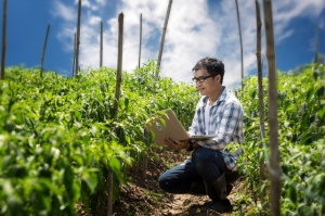 Bayer запускає безкоштовний онлайн-курс для аграріїв