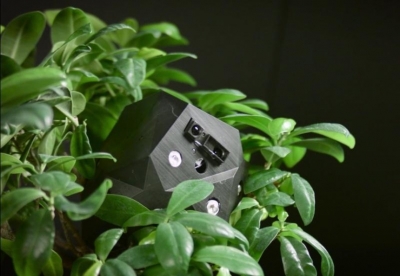 Flora Robotica: симбиоз растений и роботов
