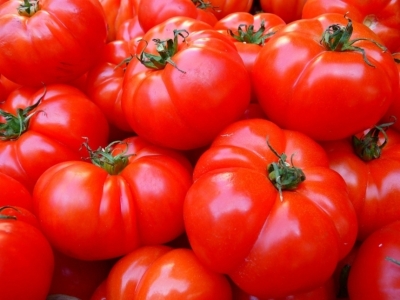 Генетики нашли способ вернуть томатам былой вкус