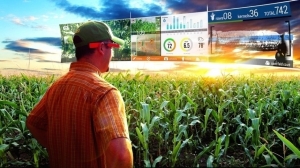 Почему цифровое земледелие станет новой сельскохозяйственной революцией