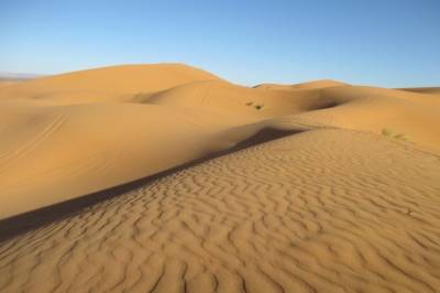 Проект Sahara Forest: песчаные дюны станут фермами, а пустыни озеленят
