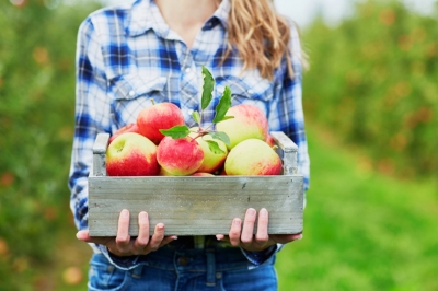 Производство яблок в Украине однозначно может быть прибыльным — Андрей Ярмак, ФАО