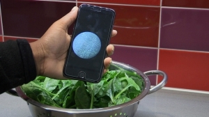 Смартфон научили находить бактерии на овощах и фруктах