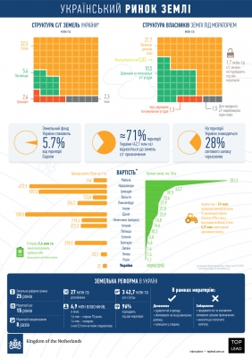 Инфографика: Украинский рынок земли