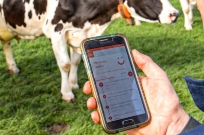 В искусственный интеллект для надзора за коровами вложили €4.2 млн