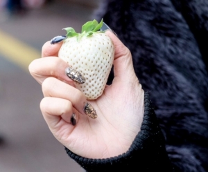 В Японии выращивают белую клубнику по $10 за штуку (ВИДЕО)