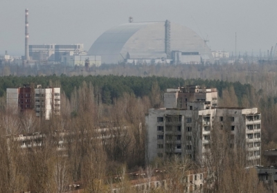 Возле Чернобыля высадили особенные деревья для поглощения радиации. Это поможет?