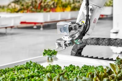 Роботизированная гидропонная ферма будет выращивать овощи без человеческого вмешательства?