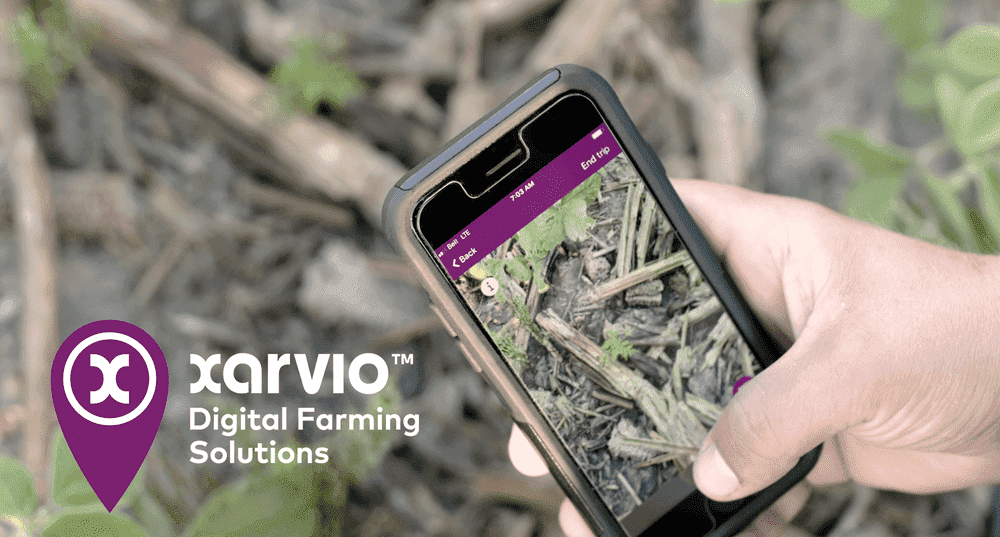 Мониторинг посевов в кармане. Тест Xarvio Field Manager