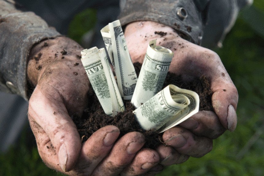 Не только деньги: как краудфандинг поддерживает фермеров