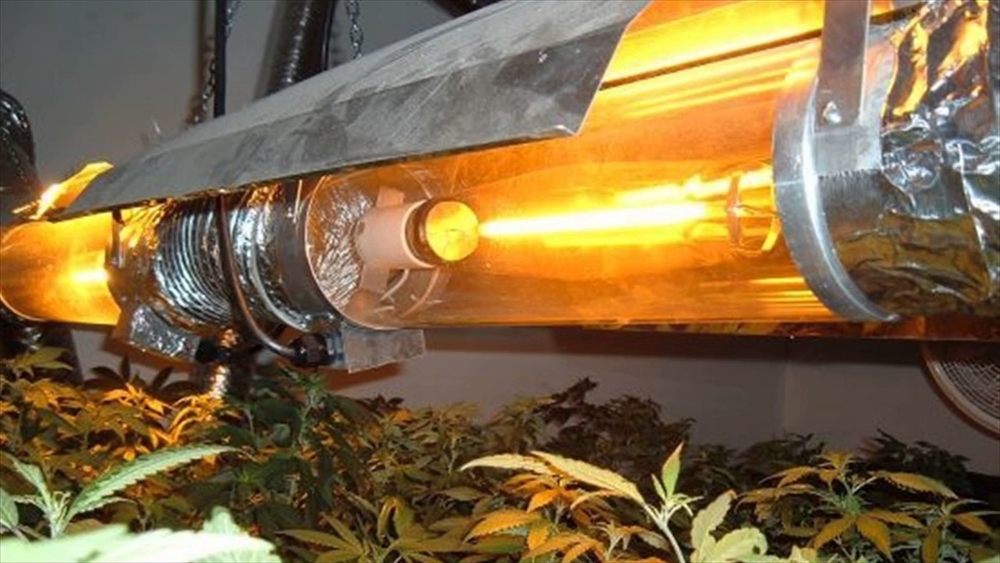 Лампы днат для выращивания марихуаны подобие tor browser гидра