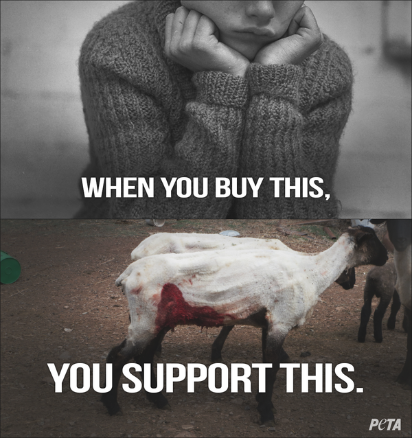 Твит PETA относительно покупки шерсти