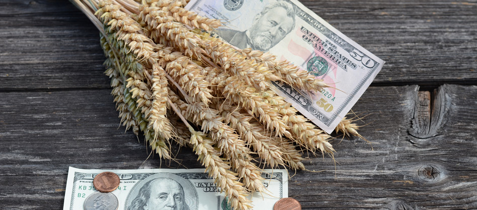 Мировые цены на зерновые не радуют