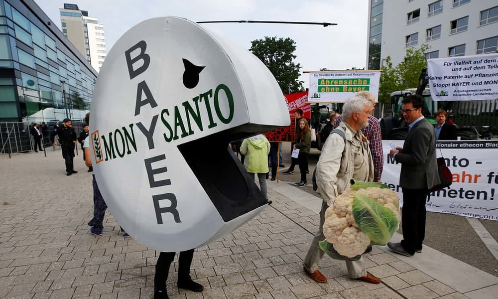Bayer купила Monsanto и стала агрогигантом
