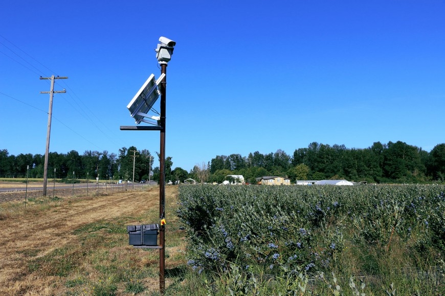 новая автоматическая лазерная система для отпугивания птиц