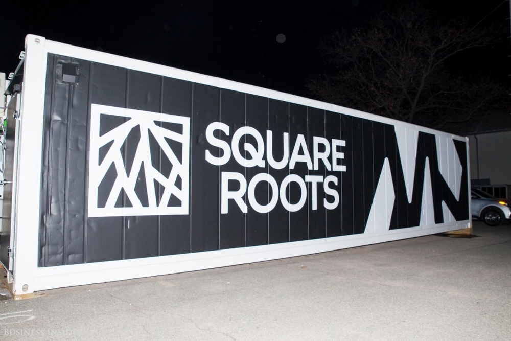 Square Roots.