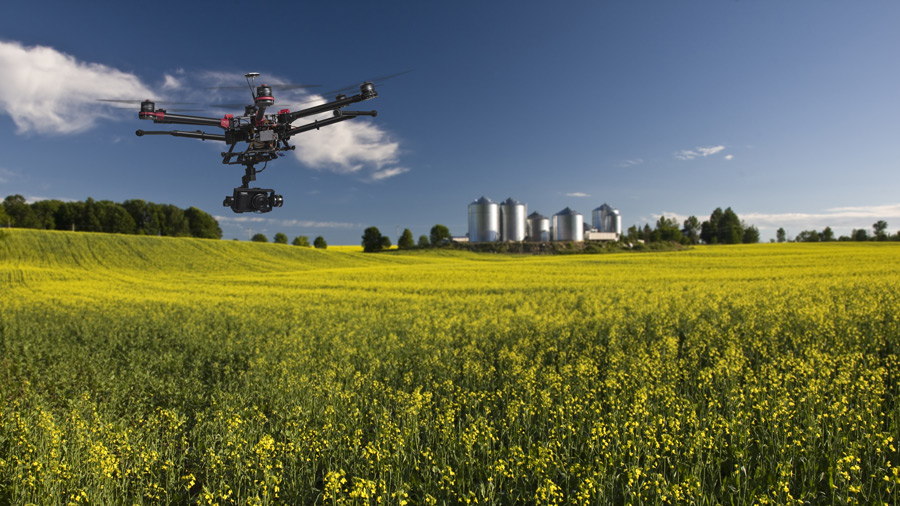 Мониторинг полей с помощью дрона