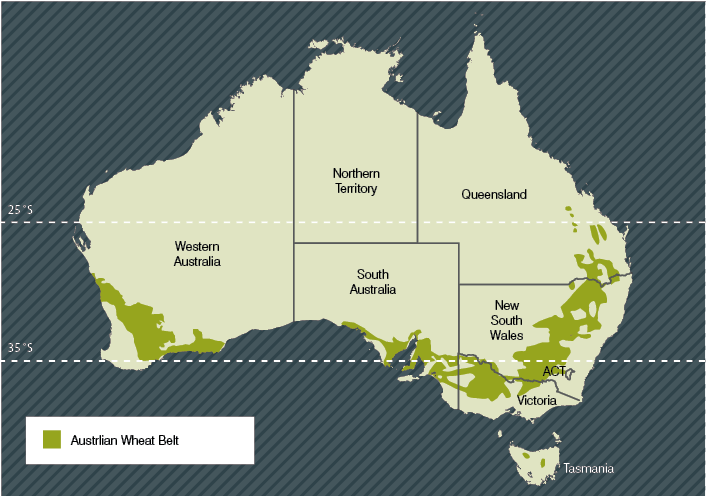 Зеленые области на карте — регионы "пшеничного пояса" Австралии