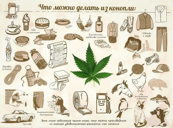 Конопля сайты законы об марихуане в россии